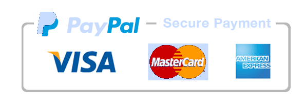 PayPal Secure Payment — Visa, Mastercard, American Express